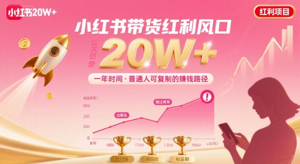 一年时间靠小红书带货项目年入20w+，最不能错的大红利项目-九九网创