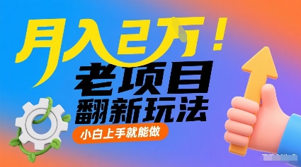 月入2W！老项目翻新玩法，小白上手就能做，非常容易上手-九九网创
