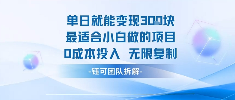 单日就能变现3张最适合小白做的项目0成本投入 无限复制-九九网创