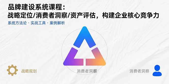 （15772期）品牌建设系统课程：战略定位/消费者洞察/资产评估，构建企业核心竞争力-九九网创