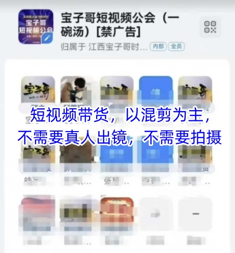 宝子哥头部团队短视频带货，以混剪为主，不需要真人出镜，不需要拍摄【更新9月】-九九网创