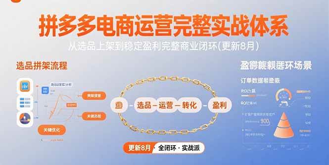 （15579期）拼多多电商运营完整实战体系，从选品上架到稳定盈利完整商业闭环(更新8月)-九九网创