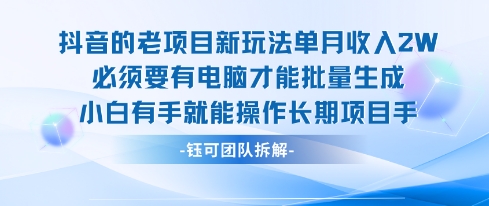 老项目新玩法单月收入2W小白有手就能操作长期项目-九九网创