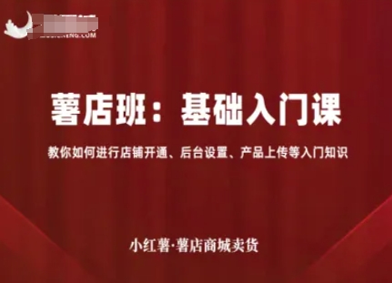 小红薯薯店商城卖货，基础入门课，教你如何进行店铺开通、后台设置、产品上传等入门知识-九九网创