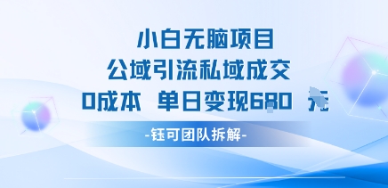 小白无脑项目公域引流私域成交0成本单日变现680米-九九网创