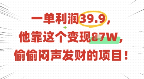 一单利润39.9，有人靠这个变现几十个，偷偷闷声发财的项目-九九网创