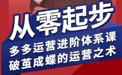 拼多多运营进阶系统课，从零起步，多多运营进阶体系课，破茧成蝶的运营之术-九九网创