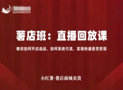 小红薯薯店商城卖货直播回放课，教你如何开店选品、如何系统引流，实现快速卖货变现-九九网创