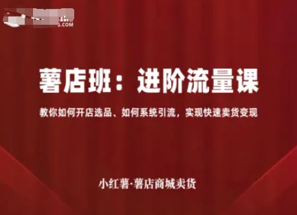 小红薯薯店商城卖货，进阶流量课，教你如何开店选品、如何系统引流，实现快速卖货变现-九九网创