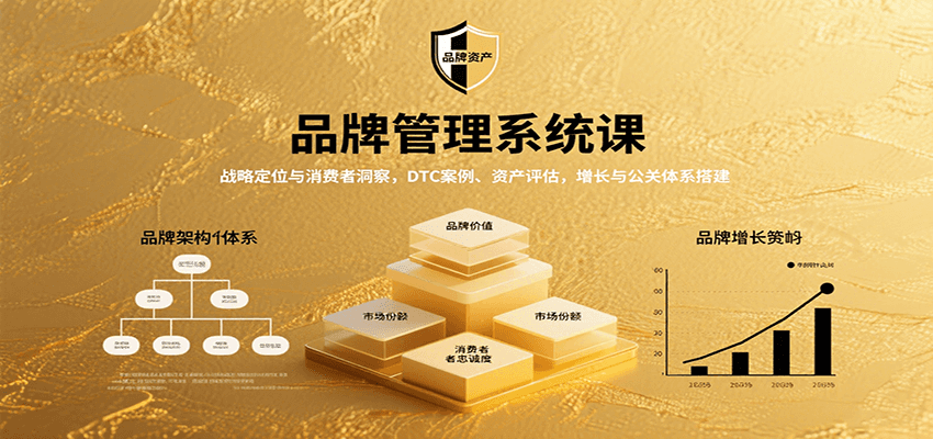 品牌管理系统课：战略定位与消费者洞察，DTC案例、资产评估，增长与公关体系搭建-九九网创