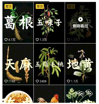 抖音中草药赛道，用AI做中草药故事视频，45条作品涨粉13W，橱窗带货猛猛出单-九九网创