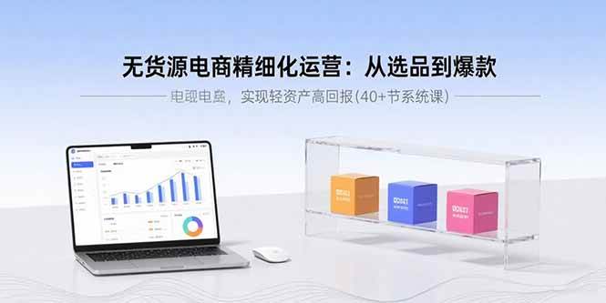 （15896期）无货源电商精细化运营：从选品到爆款，实现轻资产高回报(40+节系统课)-九九网创