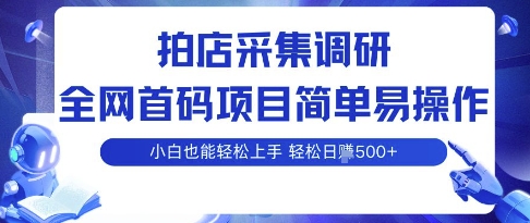 拍店采集调研，全网首码项目，简单易操作， 小白也能轻松上手，多账号操作，轻松日入5张【揭秘】-九九网创