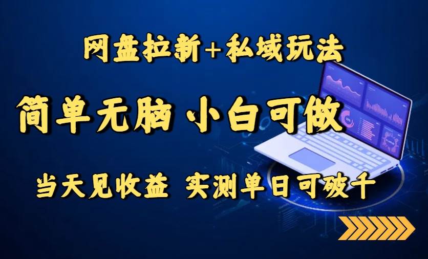 （15744期）网盘拉新+私域玩法，简单无脑，小白可做，当天见收益，实测单日可破千-九九网创