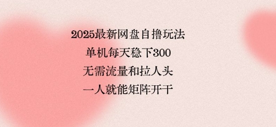 2025最新网盘自撸玩法，单机每天稳下3张，无需流量和拉人头，一个人就可轻松矩阵，全网独一份【揭秘】-九九网创