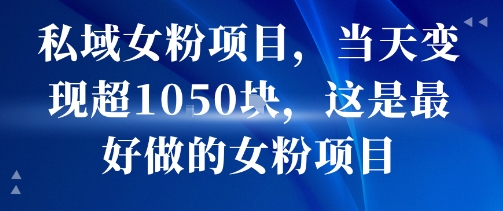 私域女粉项目，当天变现超1k，这是最好做的女粉项目，可放大操作-九九网创